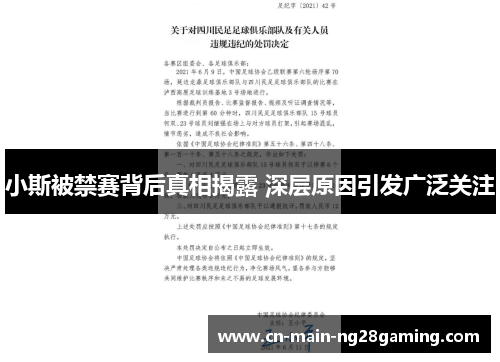 小斯被禁赛背后真相揭露 深层原因引发广泛关注