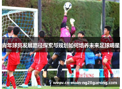 青年球员发展路径探索与规划如何培养未来足球明星