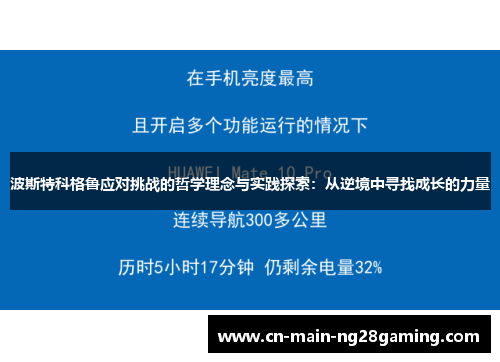 波斯特科格鲁应对挑战的哲学理念与实践探索：从逆境中寻找成长的力量