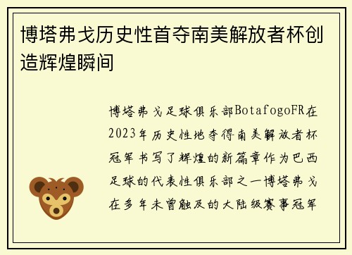 博塔弗戈历史性首夺南美解放者杯创造辉煌瞬间