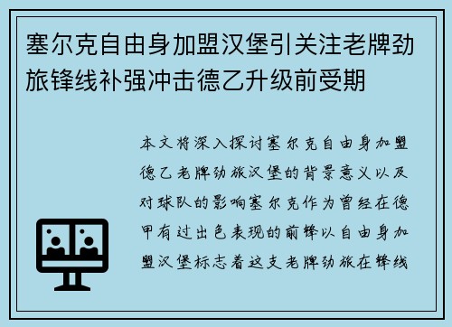 塞尔克自由身加盟汉堡引关注老牌劲旅锋线补强冲击德乙升级前受期